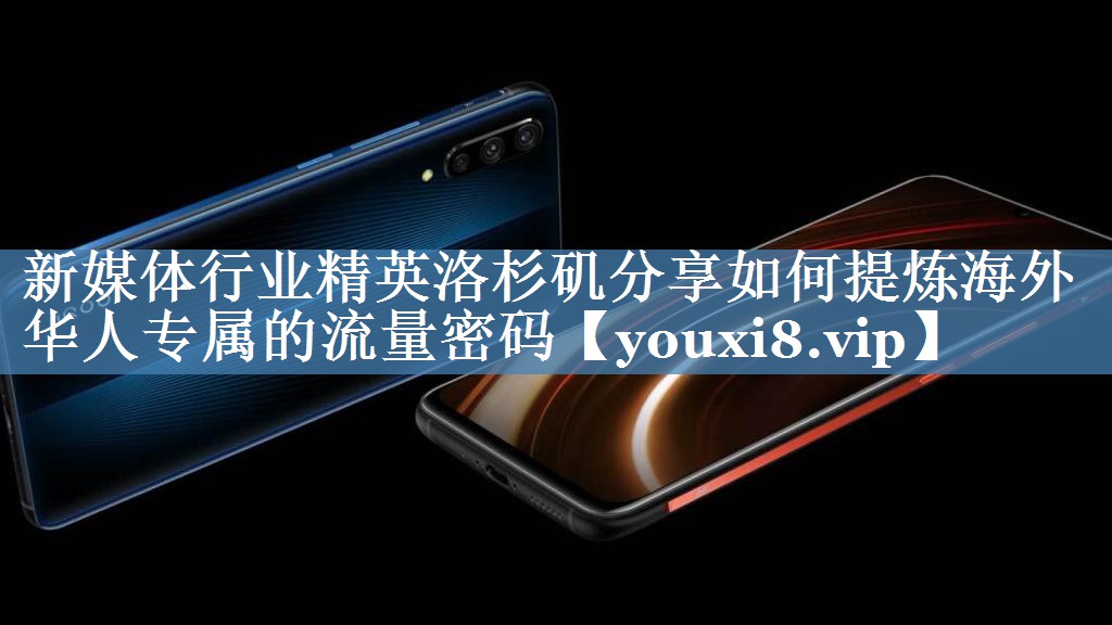 新媒体行业精英洛杉矶分享如何提炼海外华人专属的流量密码