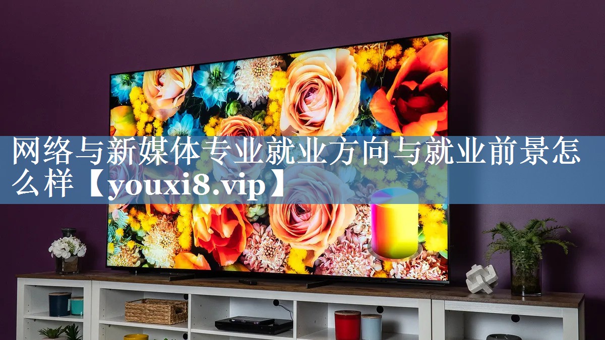 网络与新媒体专业就业方向与就业前景怎么样